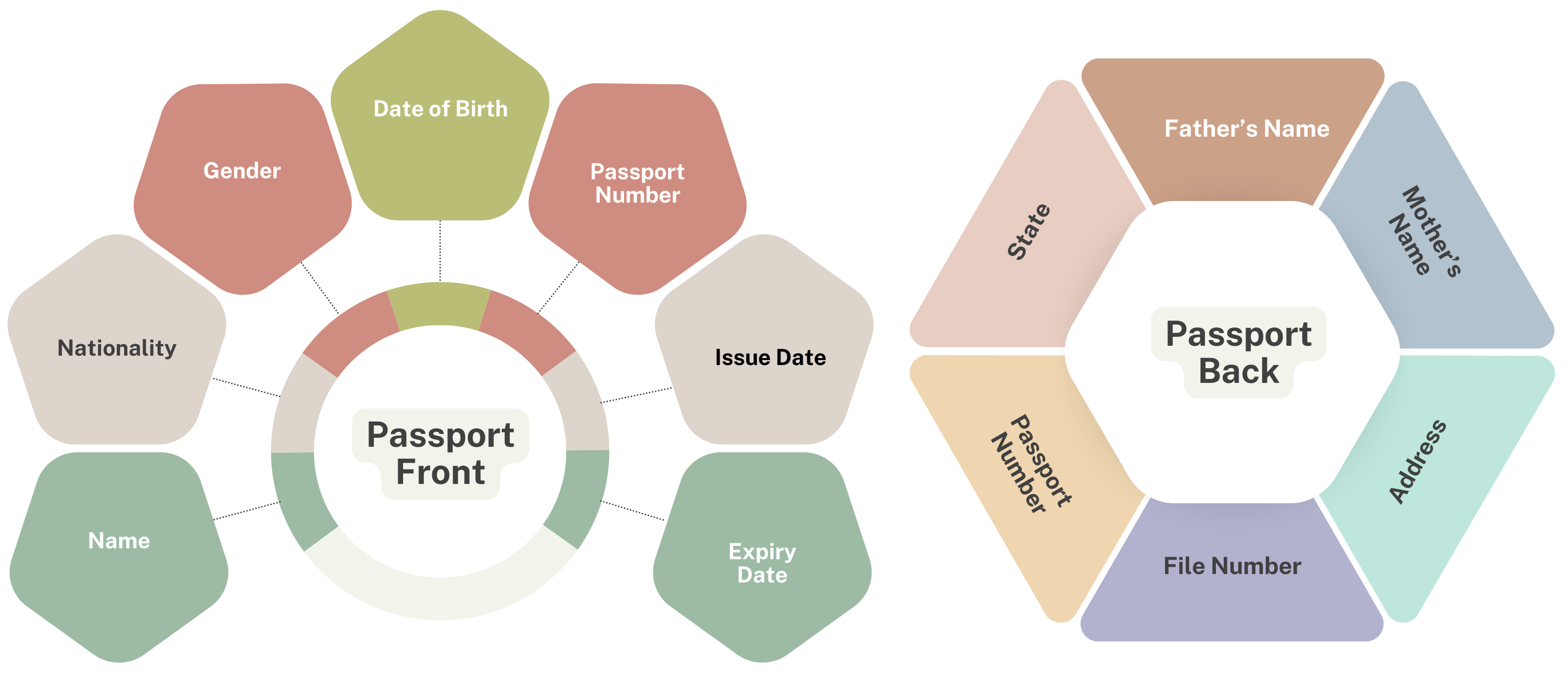 passport data harvestor solution
